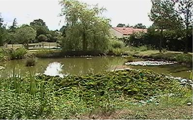 Private lake in Bussac